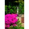 Z-Lite Dunbroch 1 Light Outdoor Pier Mounted Fixture, Deep Bronze + Outdoor Brass & Clear 584PHBS-SQPM-DBZ - alternate 2